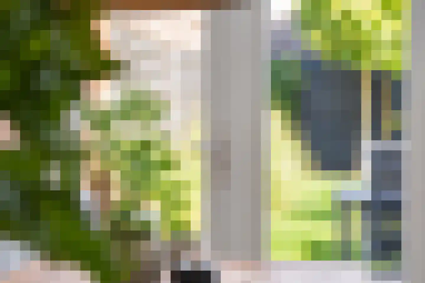 Scheeringlaan 9 Tiel thumbnail 22