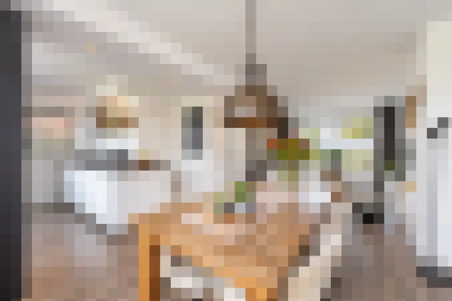 Scheeringlaan 9 Tiel thumbnail 23
