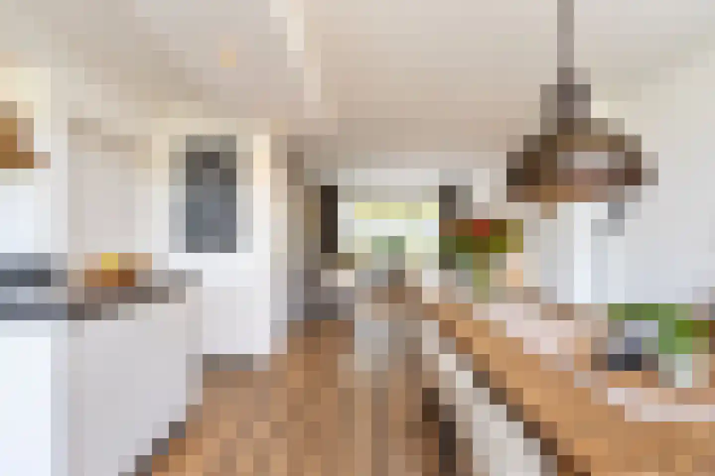 Scheeringlaan 9 Tiel thumbnail 25