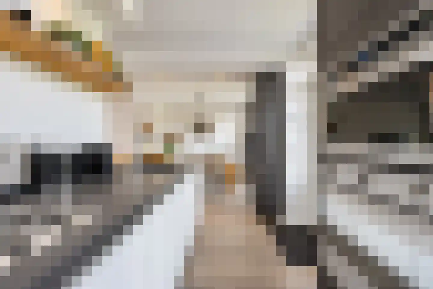 Scheeringlaan 9 Tiel thumbnail 28