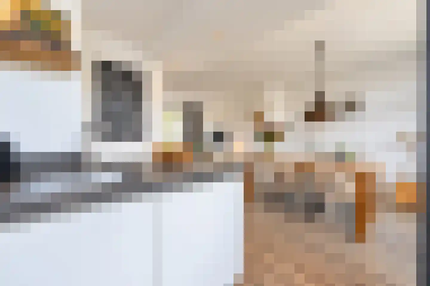 Scheeringlaan 9 Tiel thumbnail 29