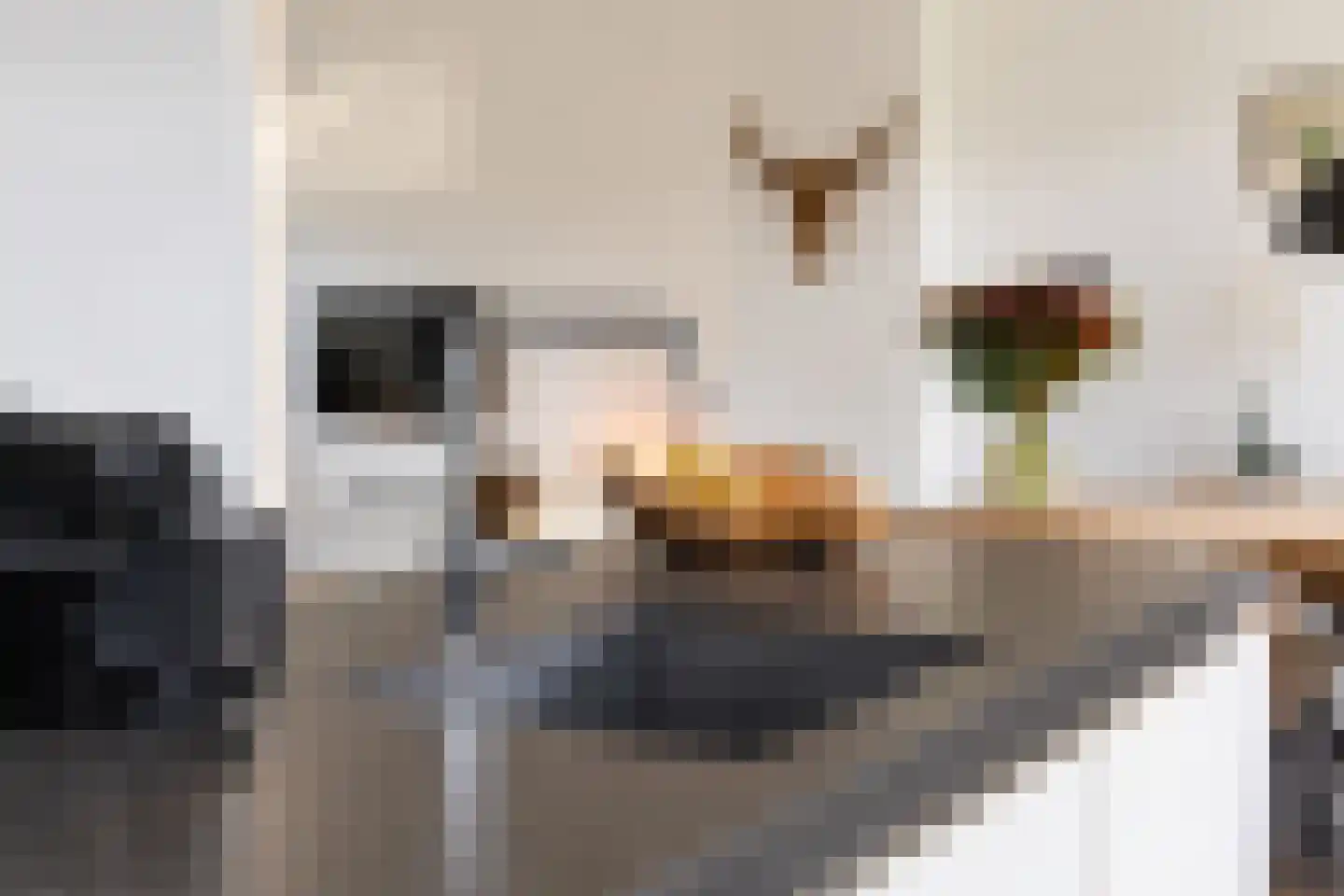 Scheeringlaan 9 Tiel thumbnail 30
