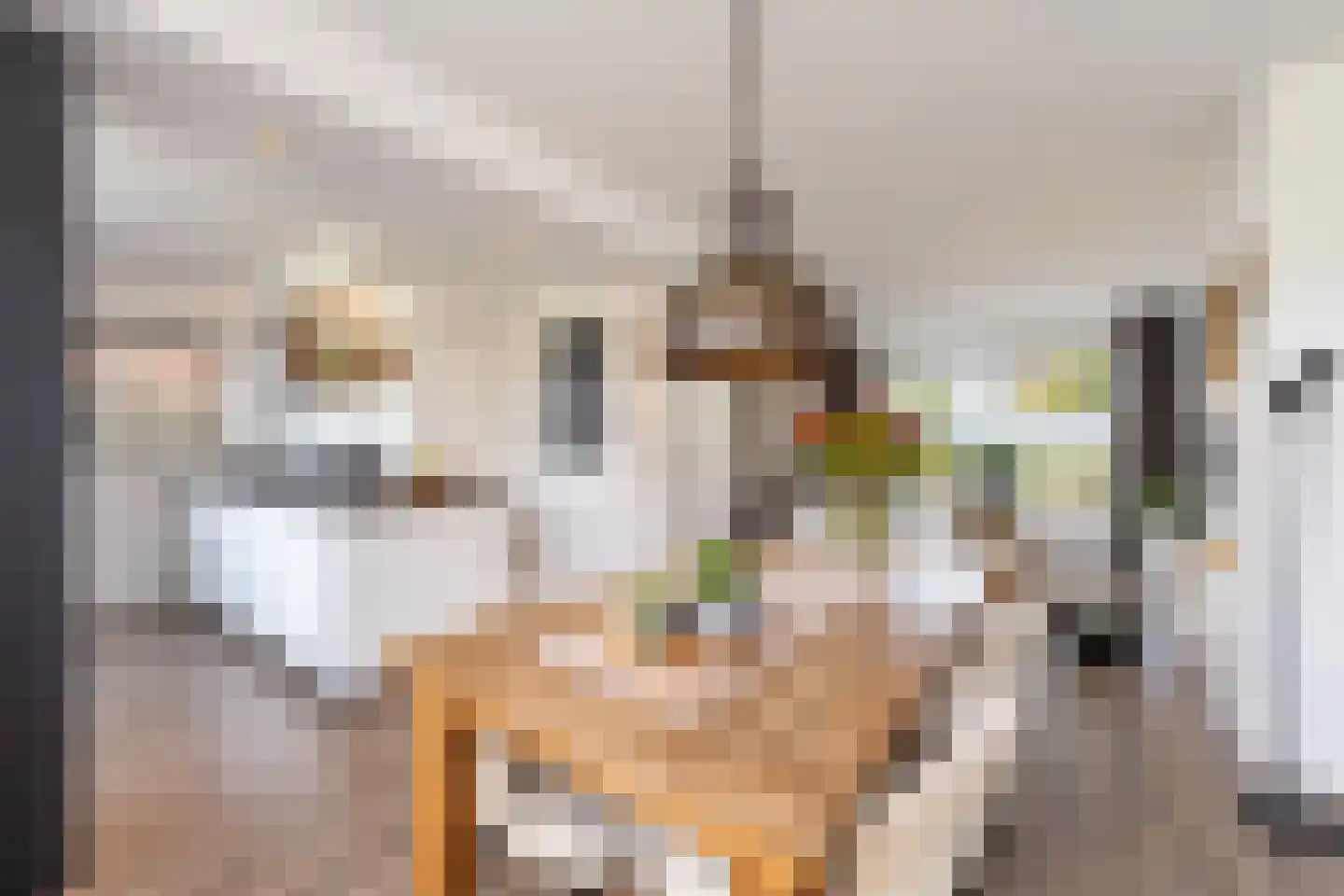 Scheeringlaan 9 Tiel thumbnail 4