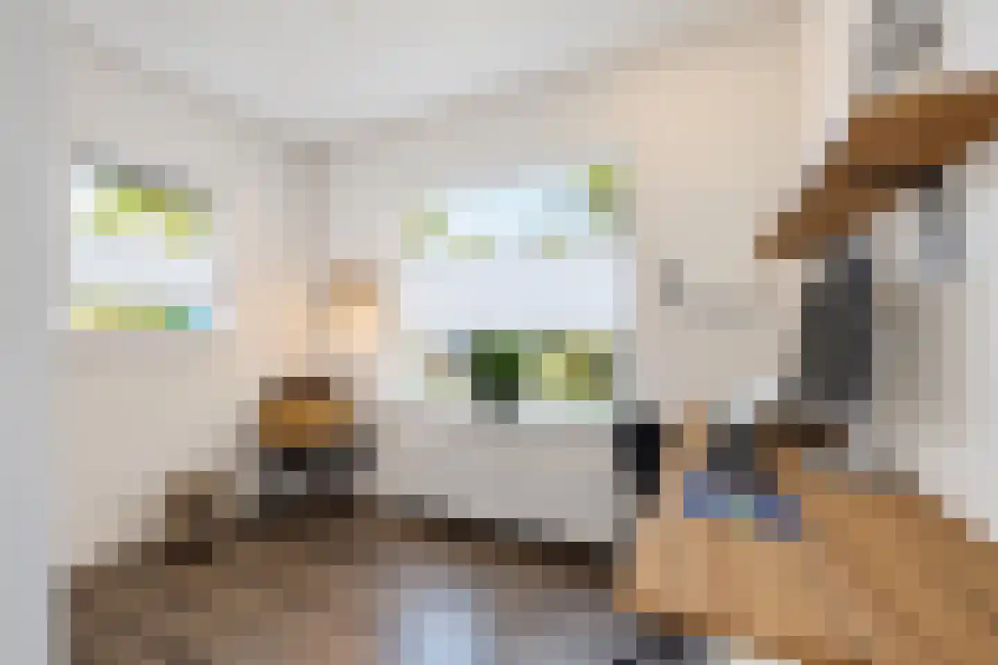 Scheeringlaan 9 Tiel thumbnail 47