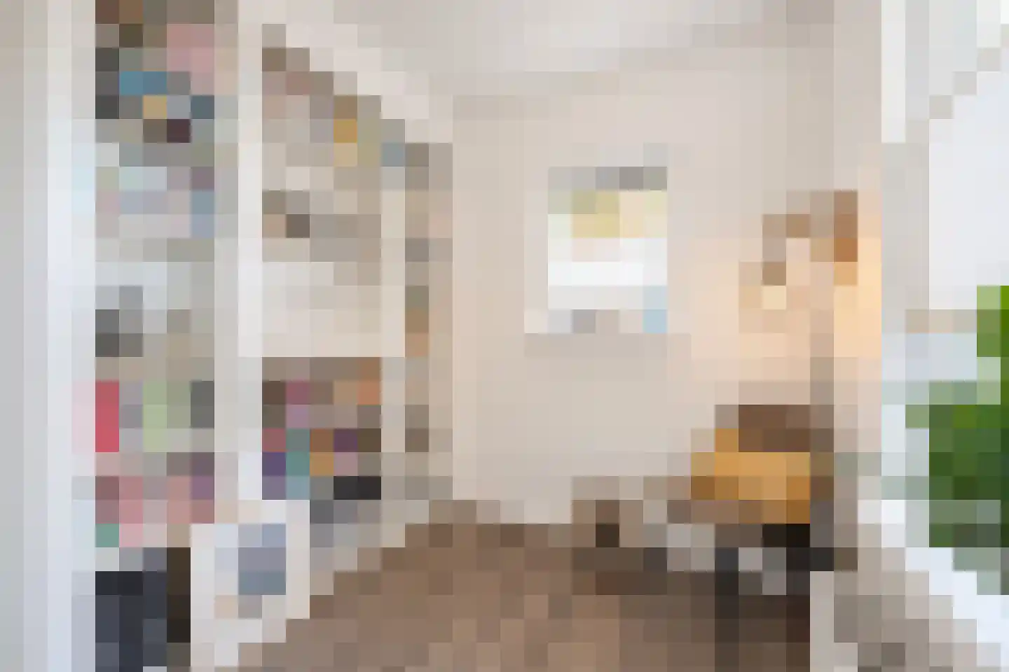 Scheeringlaan 9 Tiel thumbnail 49
