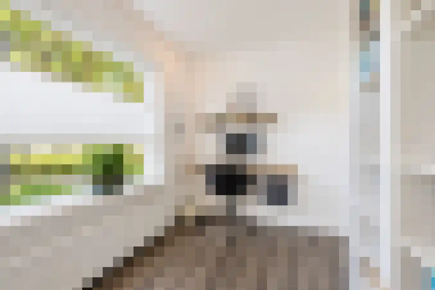 Scheeringlaan 9 Tiel thumbnail 50