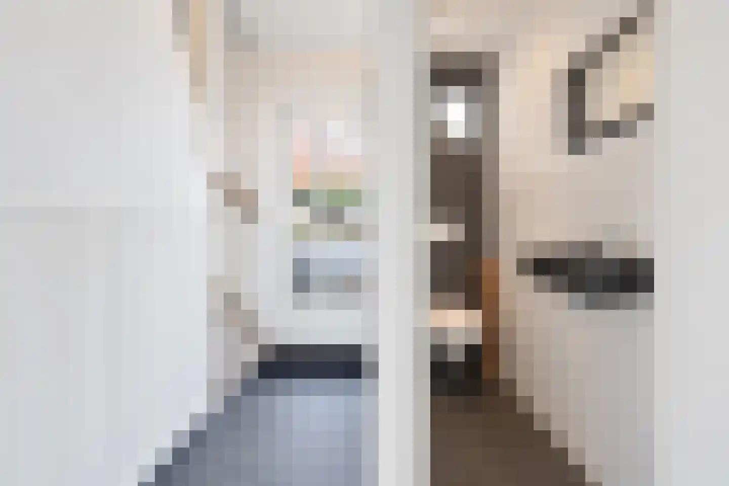 Scheeringlaan 9 Tiel thumbnail 51