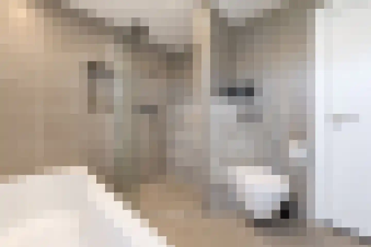 Scheeringlaan 9 Tiel thumbnail 58