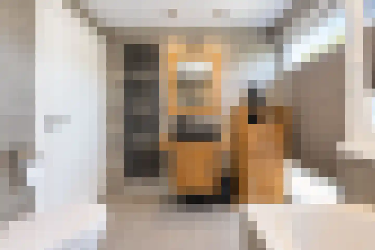 Scheeringlaan 9 Tiel thumbnail 60