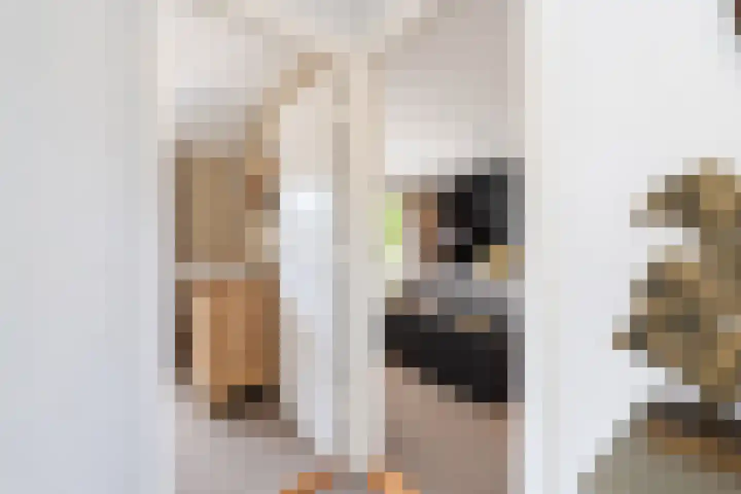 Scheeringlaan 9 Tiel thumbnail 61