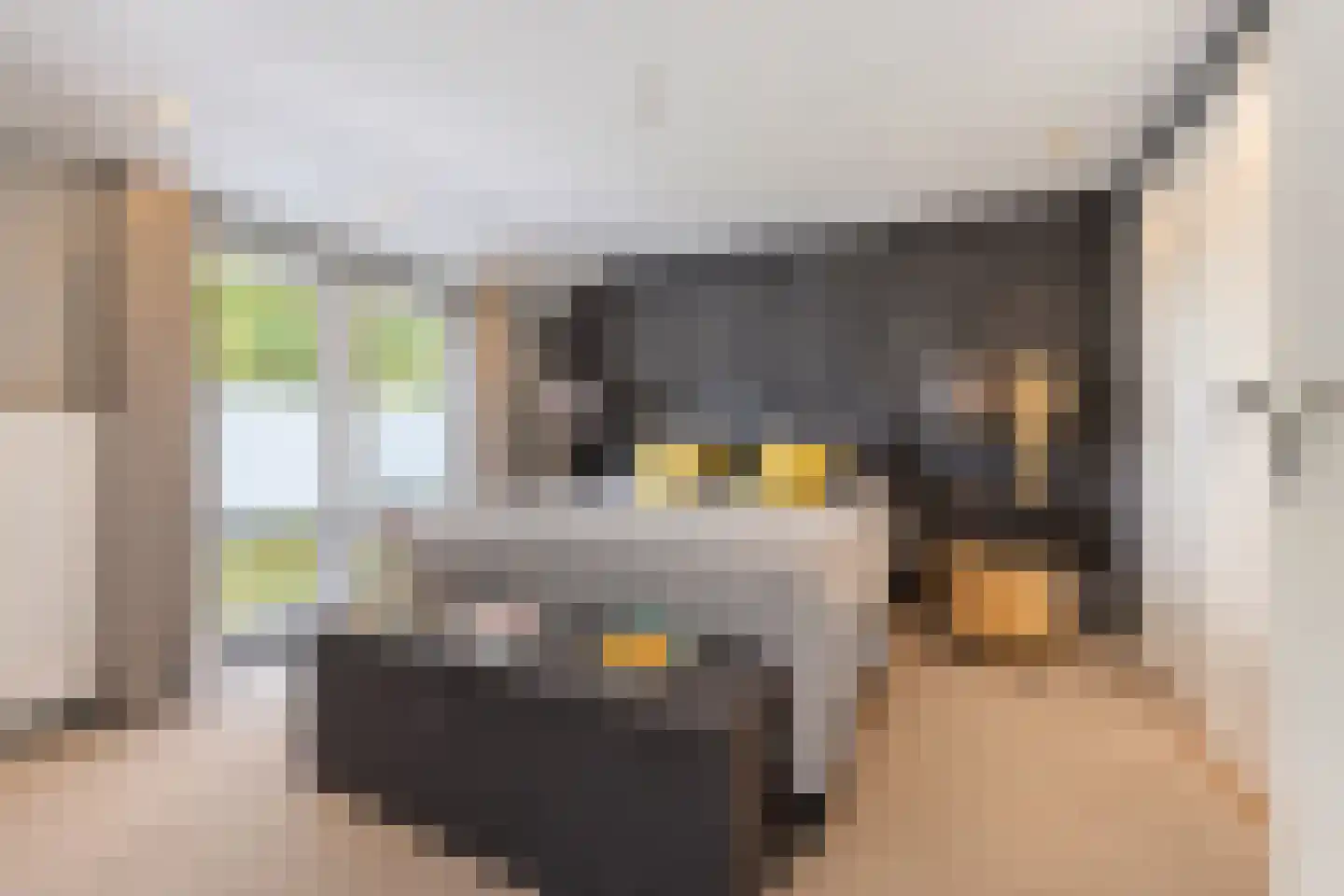 Scheeringlaan 9 Tiel thumbnail 62