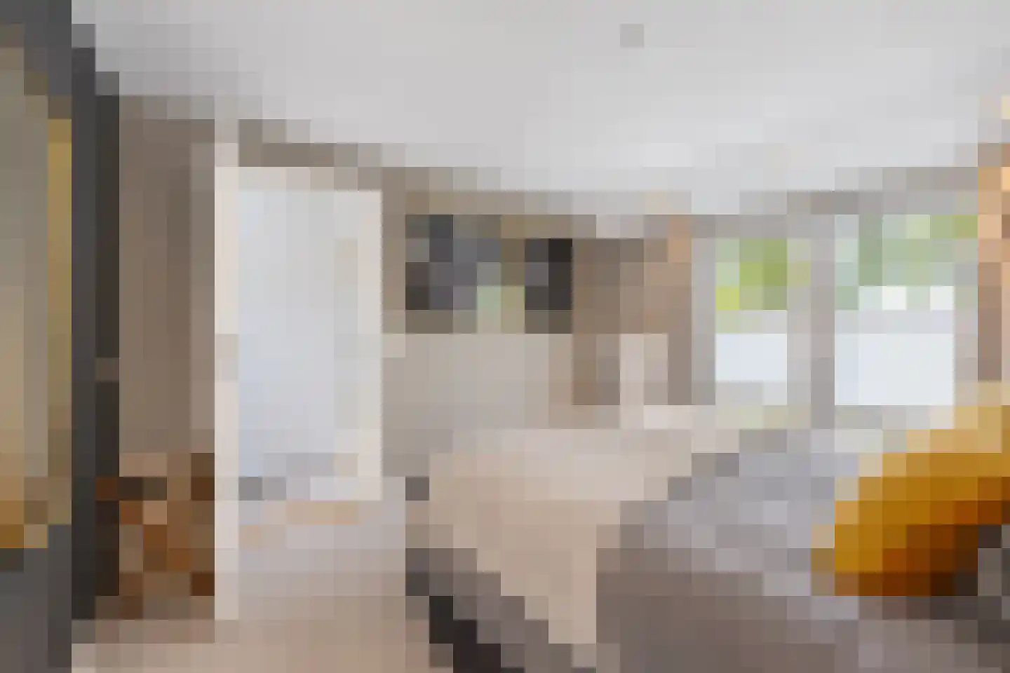 Scheeringlaan 9 Tiel thumbnail 63