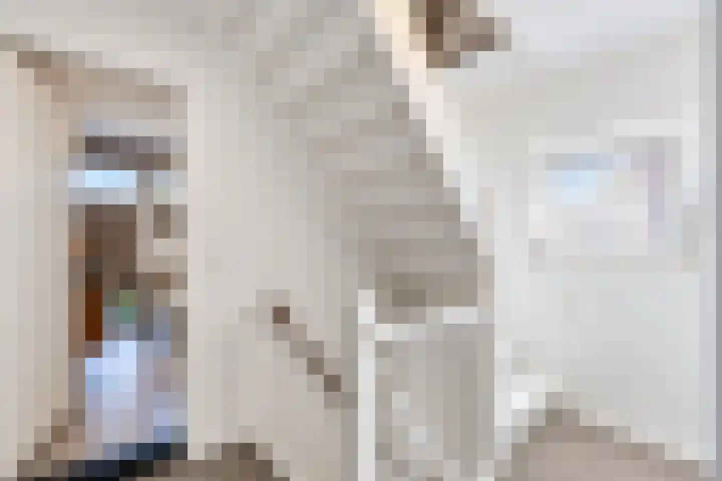 Scheeringlaan 9 Tiel thumbnail 66