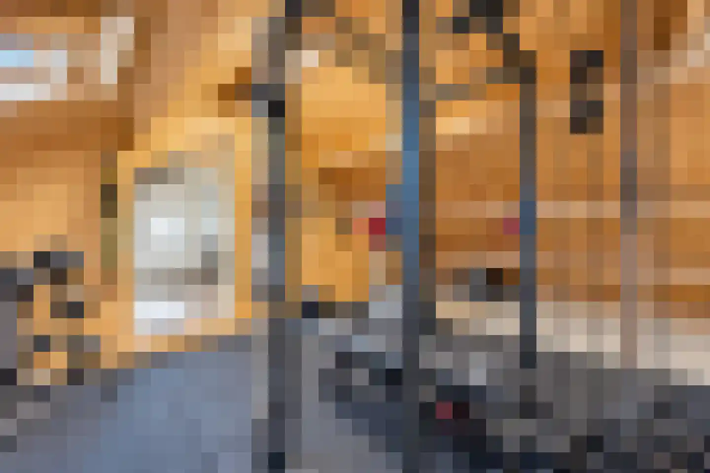 Scheeringlaan 9 Tiel thumbnail 67