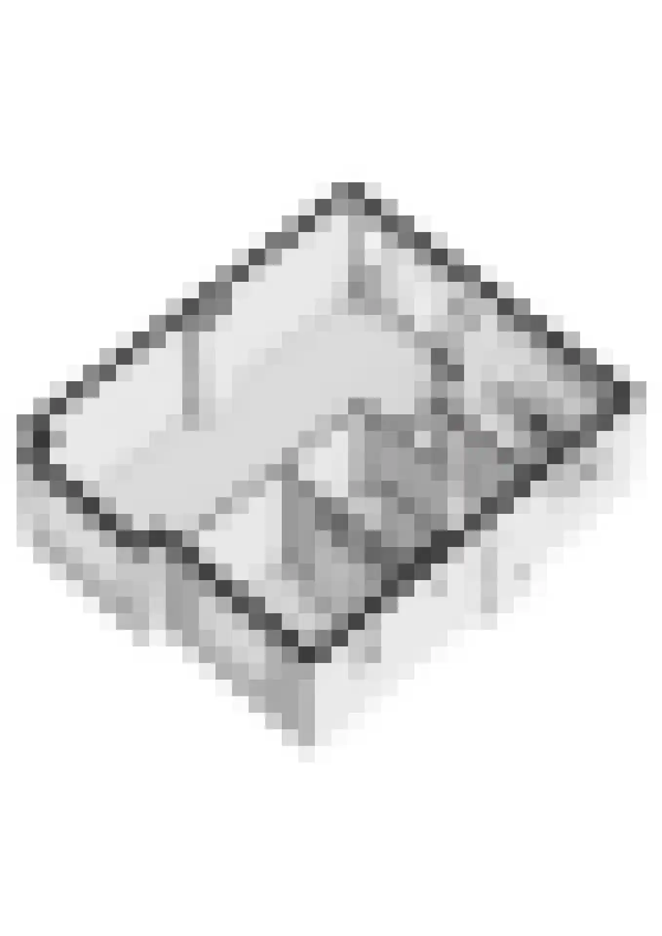 Scheeringlaan 9 Tiel thumbnail 70