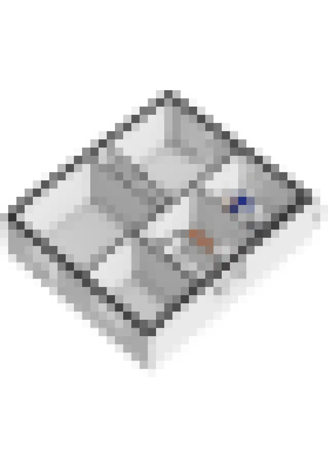 Scheeringlaan 9 Tiel thumbnail 72