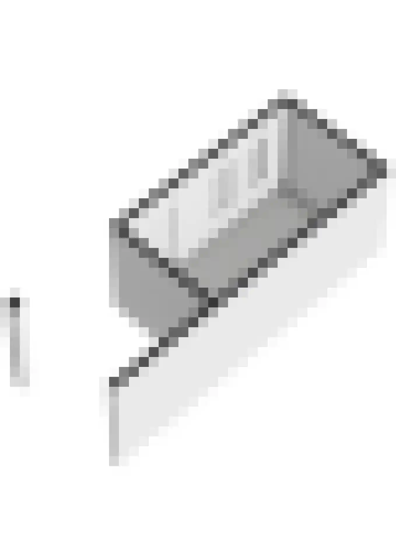 Scheeringlaan 9 Tiel thumbnail 76
