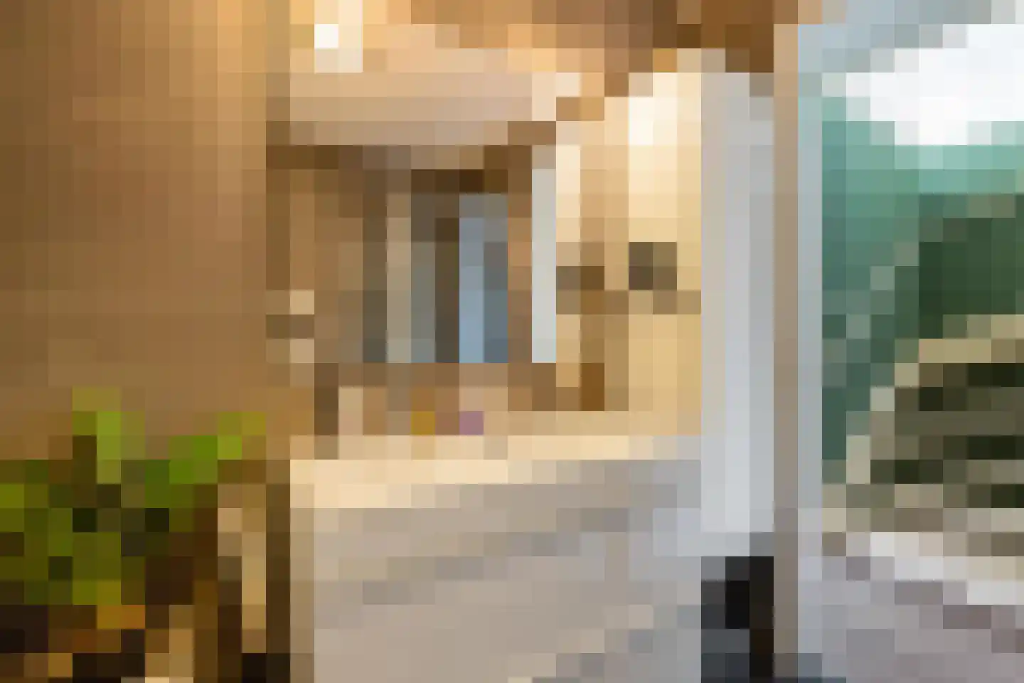 Scheerling 1 Meerstad thumbnail 22