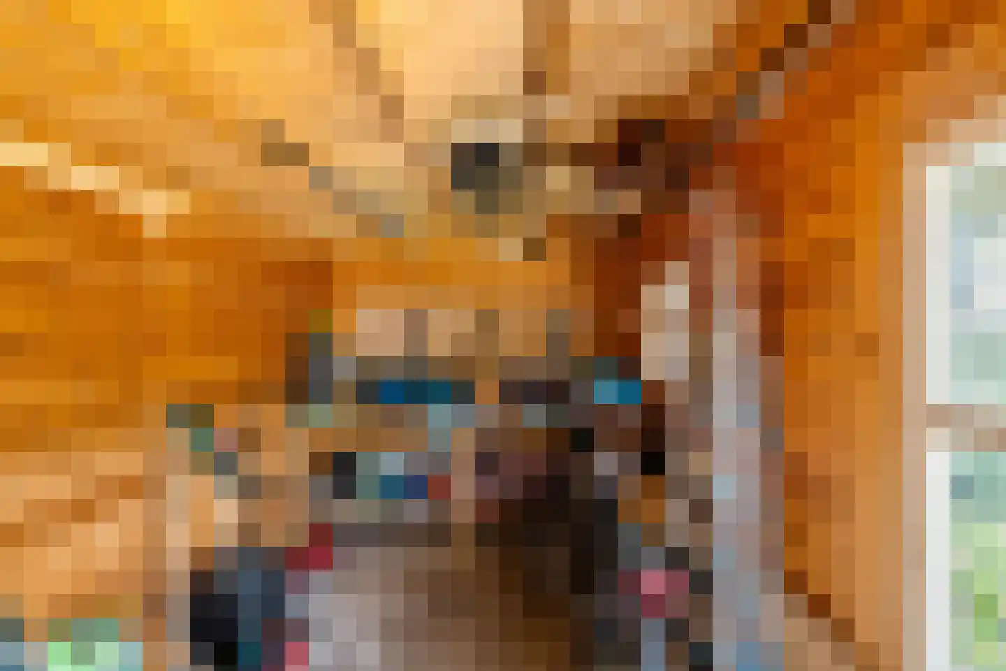 Scheerling 1 Meerstad thumbnail 38