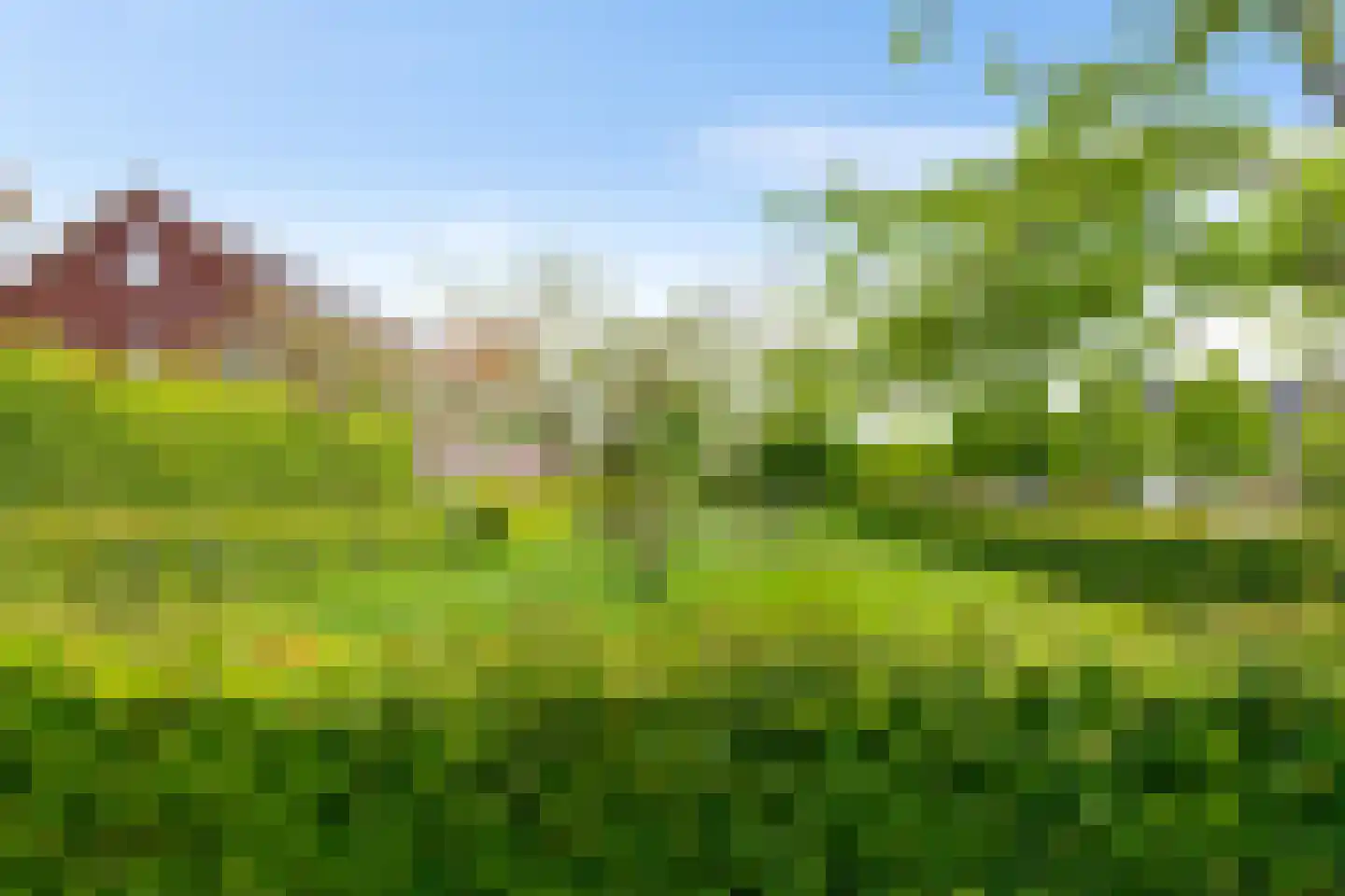 Scheerling 1 Meerstad thumbnail 41