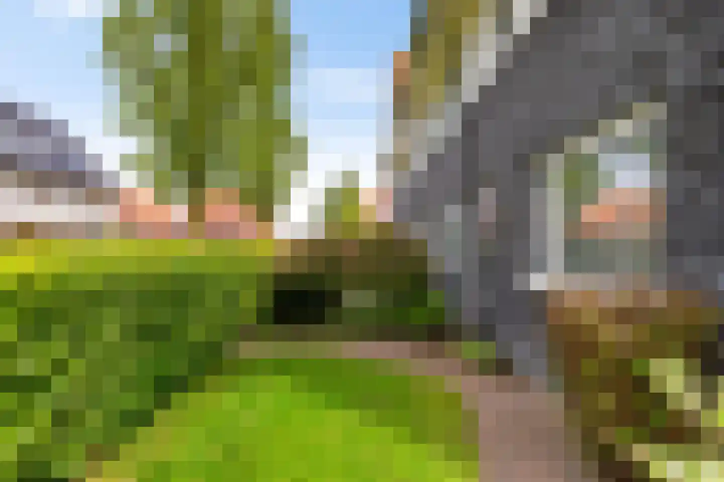 Scheerling 1 Meerstad thumbnail 6