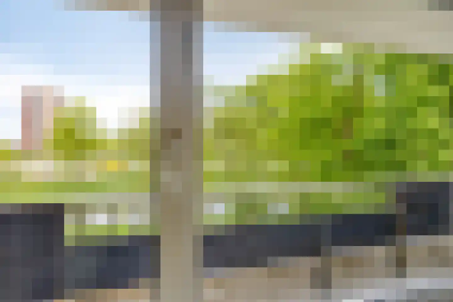 Scheerling 131 Kampen thumbnail 10