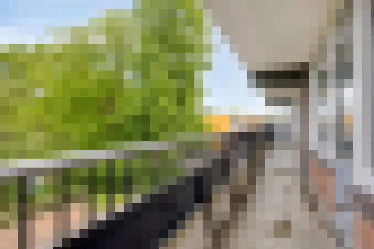 Scheerling 131 Kampen thumbnail 19