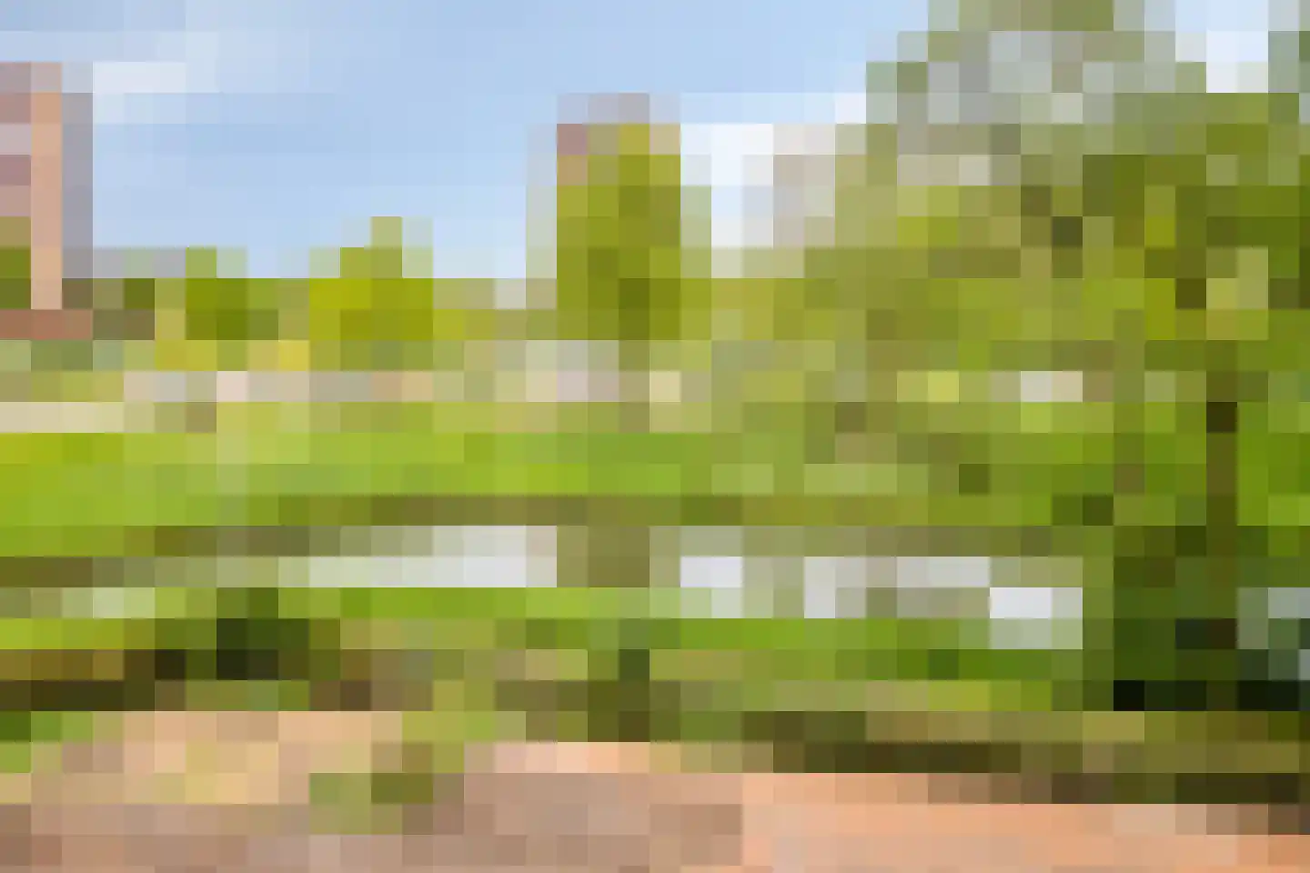 Scheerling 131 Kampen thumbnail 22