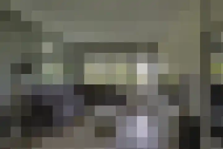 Scheerling 149 Kampen thumbnail 12