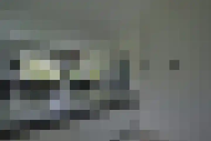 Scheerling 149 Kampen thumbnail 16