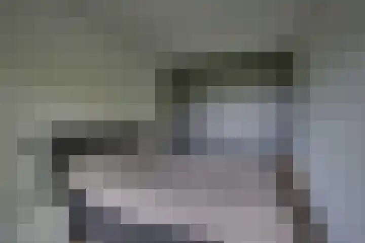 Scheerling 149 Kampen thumbnail 17