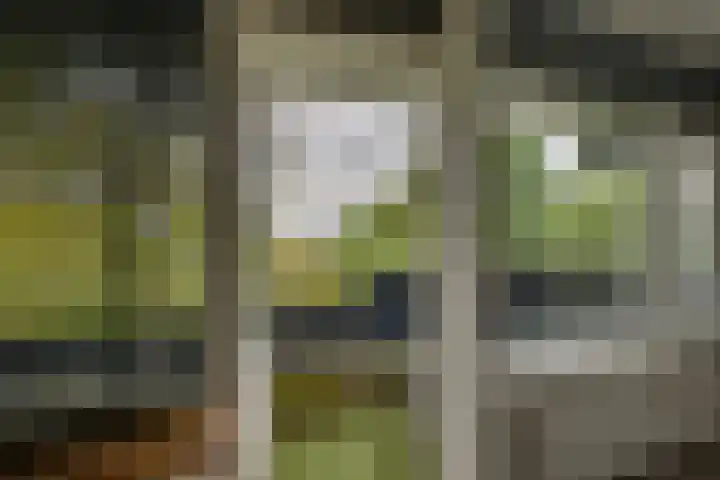 Scheerling 149 Kampen thumbnail 20