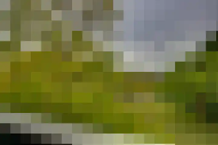 Scheerling 149 Kampen thumbnail 22