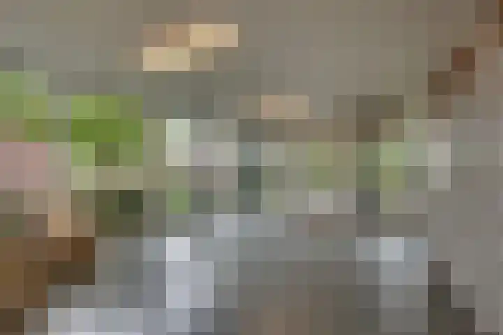 Scheerling 149 Kampen thumbnail 23