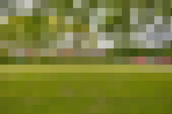 Scheerling 149 Kampen thumbnail 26
