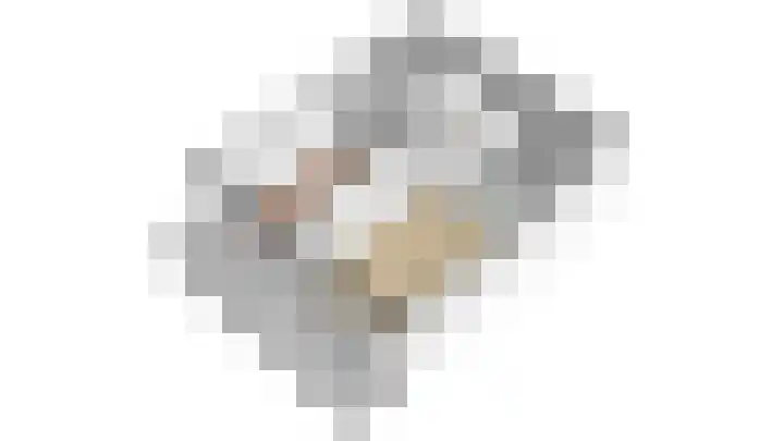 Scheerling 149 Kampen thumbnail 32