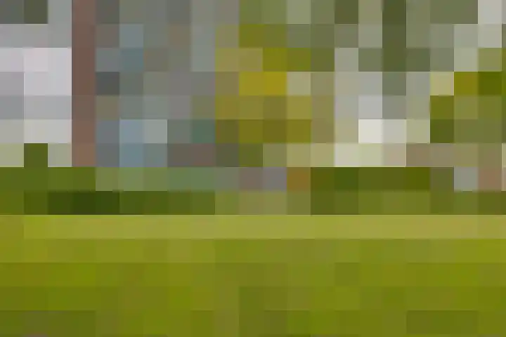 Scheerling 149 Kampen thumbnail 5