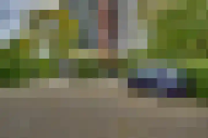 Scheerling 149 Kampen thumbnail 7