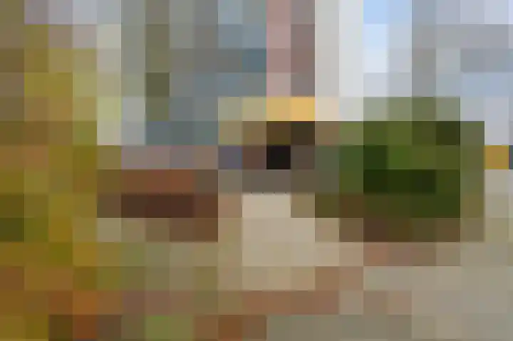 Scheerling 153 Kampen thumbnail 11