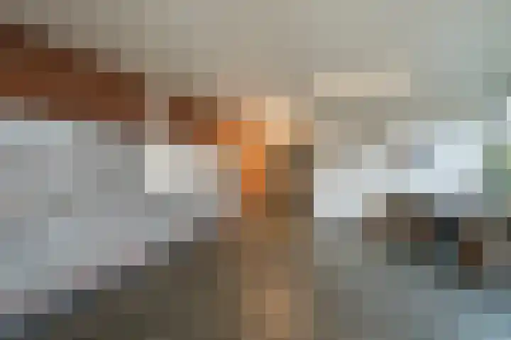 Scheerling 153 Kampen thumbnail 12