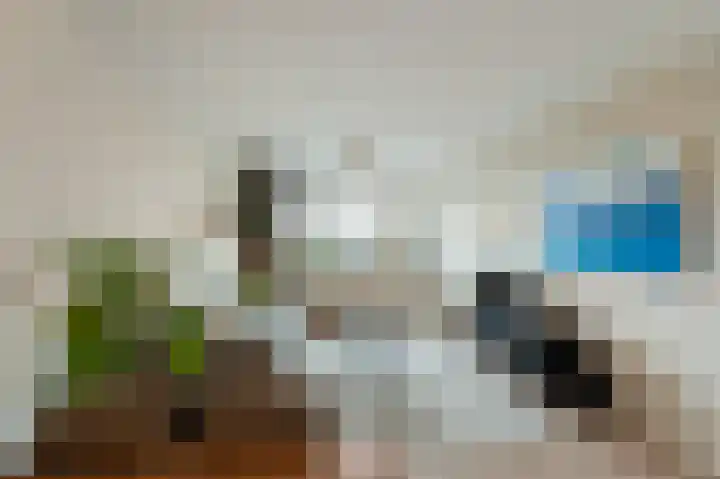 Scheerling 153 Kampen thumbnail 26