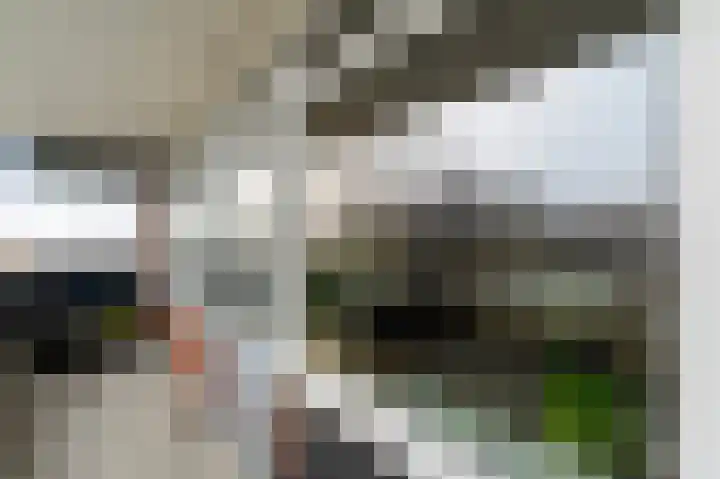 Scheerling 153 Kampen thumbnail 38