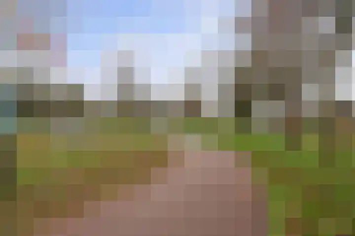 Scheerling 153 Kampen thumbnail 8