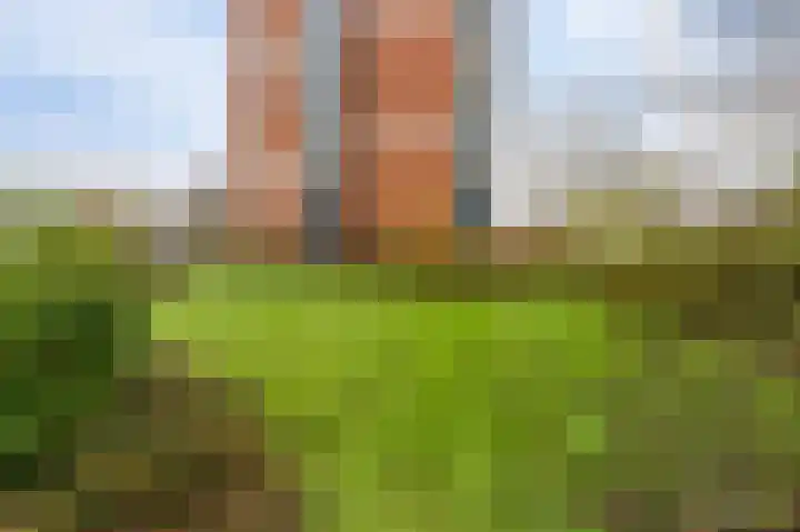 Scheerling 153 Kampen thumbnail 9