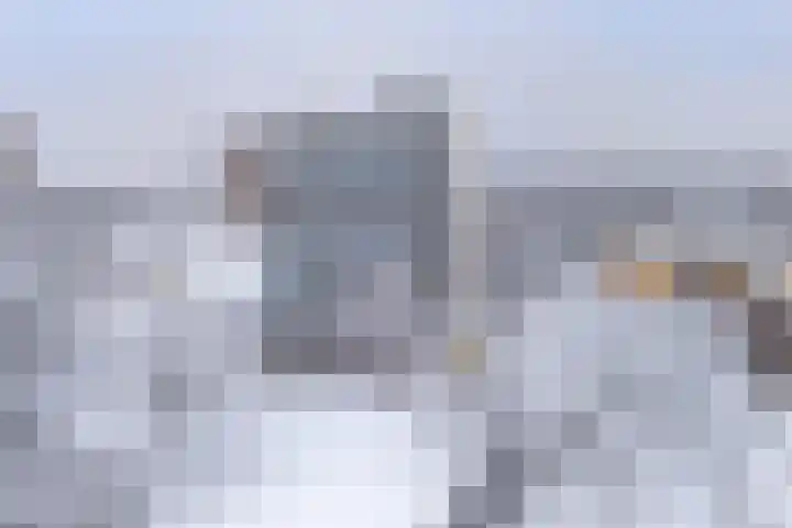 Scheerling 201 Kampen thumbnail 10