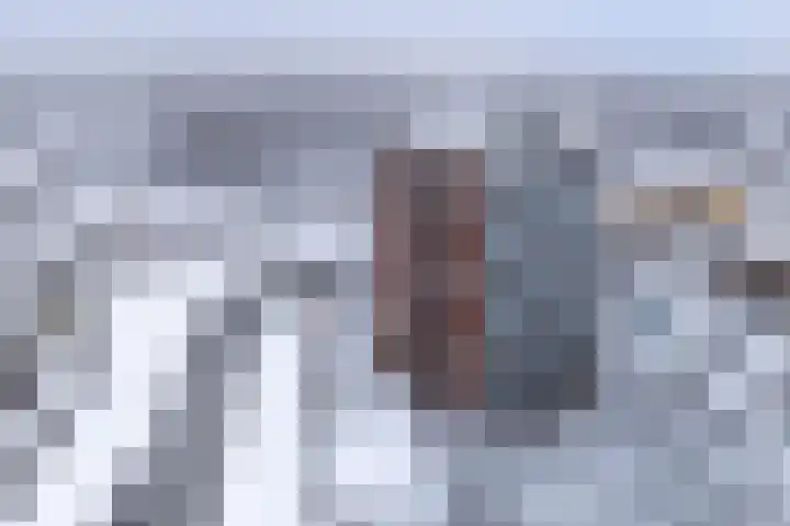 Scheerling 201 Kampen thumbnail 12