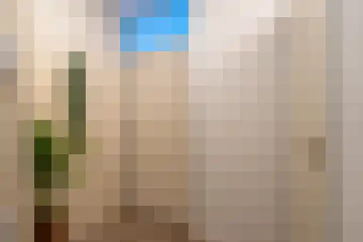 Scheerling 201 Kampen thumbnail 21