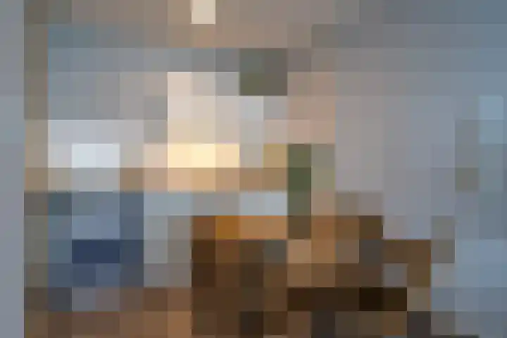 Scheerling 201 Kampen thumbnail 22