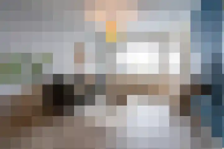 Scheerling 201 Kampen thumbnail 26