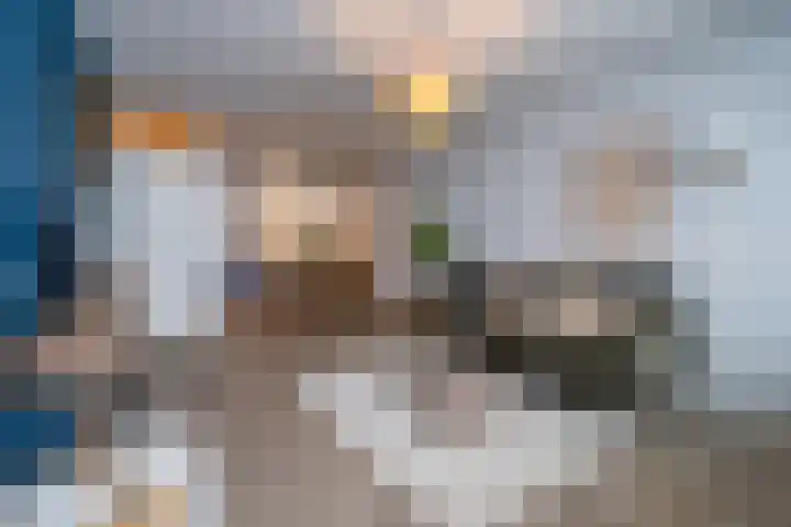 Scheerling 201 Kampen thumbnail 28